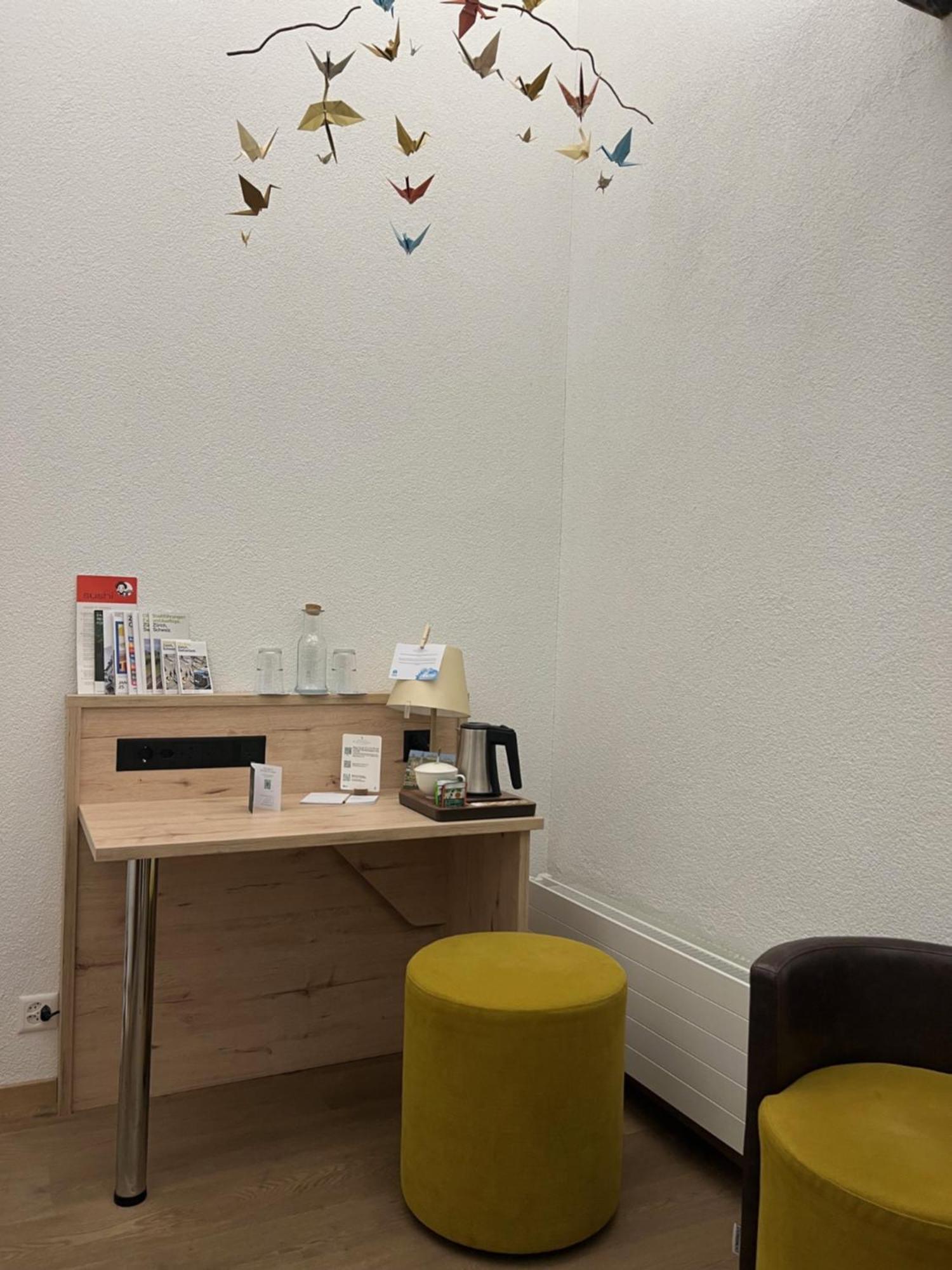 Platzhirsch Zuerich - Downtown Boutique Hotel & Sushi Lounge Екстериор снимка